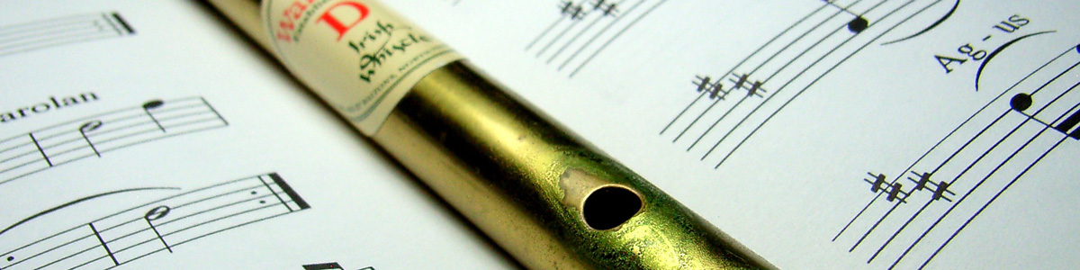 Tin whistle